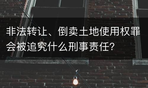 非法转让、倒卖土地使用权罪会被追究什么刑事责任？