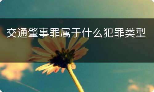 交通肇事罪属于什么犯罪类型