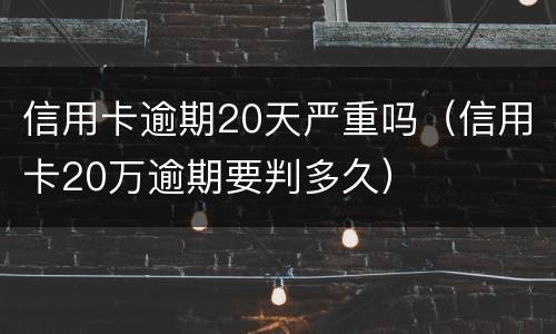 信用卡逾期20天严重吗（信用卡20万逾期要判多久）
