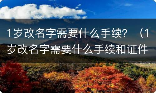 1岁改名字需要什么手续？（1岁改名字需要什么手续和证件）