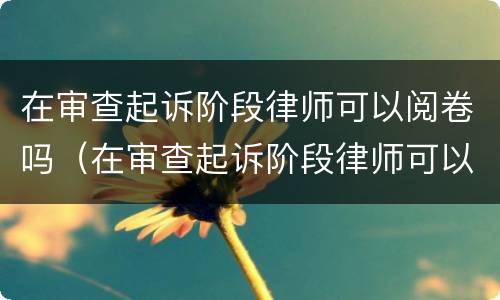 在审查起诉阶段律师可以阅卷吗（在审查起诉阶段律师可以阅卷吗怎么写）