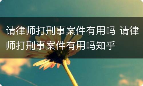 请律师打刑事案件有用吗 请律师打刑事案件有用吗知乎
