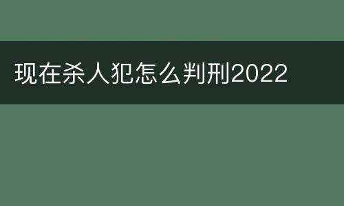 现在杀人犯怎么判刑2022
