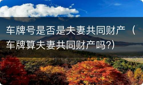 车牌号是否是夫妻共同财产（车牌算夫妻共同财产吗?）