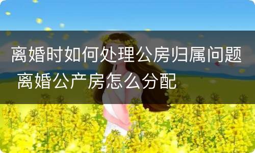 离婚时如何处理公房归属问题 离婚公产房怎么分配