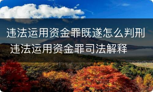 违法运用资金罪既遂怎么判刑 违法运用资金罪司法解释
