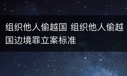 组织他人偷越国 组织他人偷越国边境罪立案标准