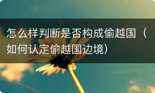 怎么样判断是否构成偷越国（如何认定偷越国边境）