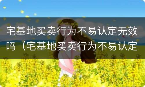 宅基地买卖行为不易认定无效吗（宅基地买卖行为不易认定无效吗为什么）