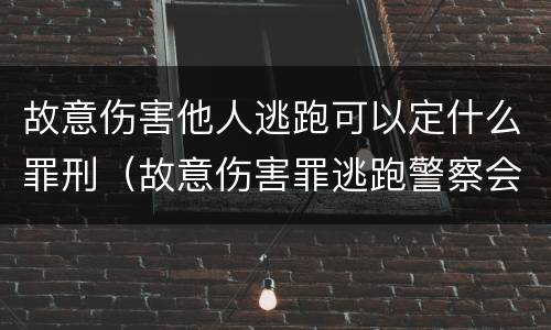 故意伤害他人逃跑可以定什么罪刑（故意伤害罪逃跑警察会管吗）