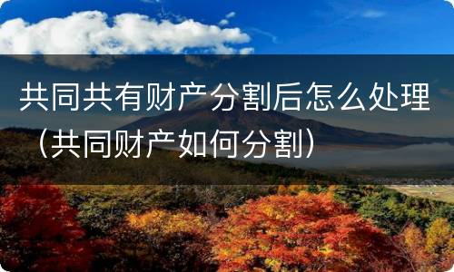 共同共有财产分割后怎么处理（共同财产如何分割）