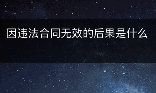 因违法合同无效的后果是什么