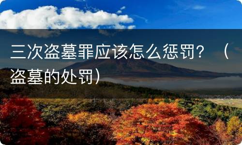 三次盗墓罪应该怎么惩罚？（盗墓的处罚）