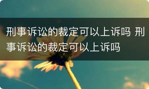 刑事诉讼的裁定可以上诉吗 刑事诉讼的裁定可以上诉吗