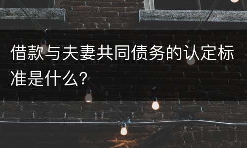 借款与夫妻共同债务的认定标准是什么？