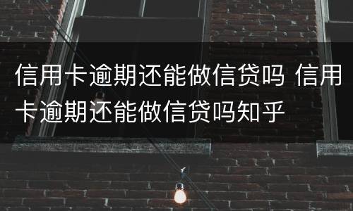 信用卡逾期还能做信贷吗 信用卡逾期还能做信贷吗知乎