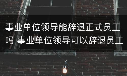 事业单位领导能辞退正式员工吗 事业单位领导可以辞退员工吗