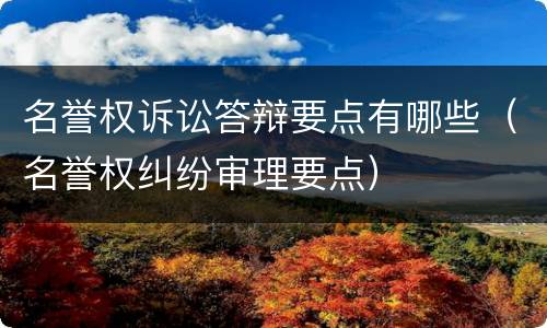 名誉权诉讼答辩要点有哪些（名誉权纠纷审理要点）
