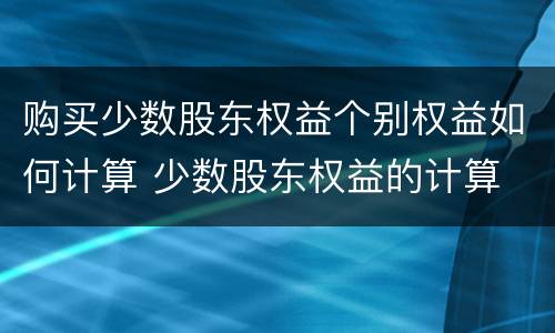 购买少数股东权益个别权益如何计算 少数股东权益的计算