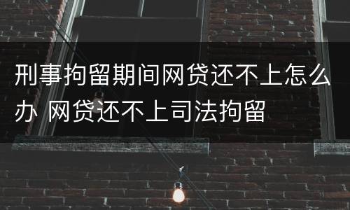 刑事拘留期间网贷还不上怎么办 网贷还不上司法拘留