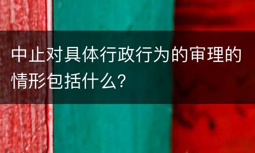 中止对具体行政行为的审理的情形包括什么？