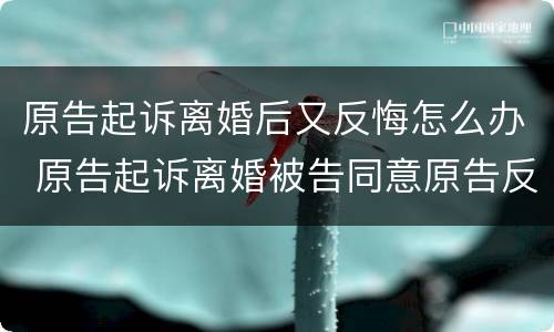 原告起诉离婚后又反悔怎么办 原告起诉离婚被告同意原告反悔