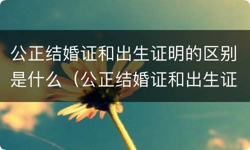 公正结婚证和出生证明的区别是什么（公正结婚证和出生证明的区别是什么意思）