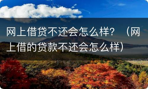 网上借贷不还会怎么样？（网上借的贷款不还会怎么样）