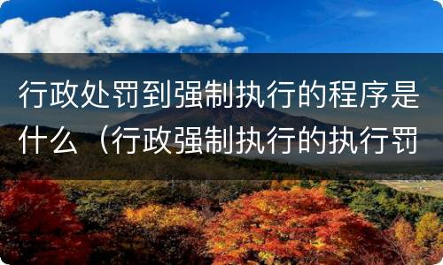 行政处罚到强制执行的程序是什么（行政强制执行的执行罚有哪些）