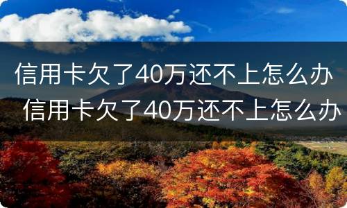 信用卡欠了40万还不上怎么办 信用卡欠了40万还不上怎么办呢