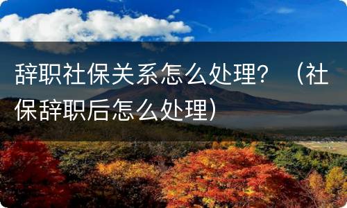 辞职社保关系怎么处理？（社保辞职后怎么处理）