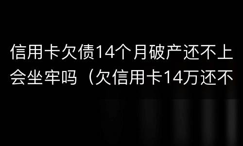 信用卡欠债14个月破产还不上会坐牢吗（欠信用卡14万还不上会坐牢么）