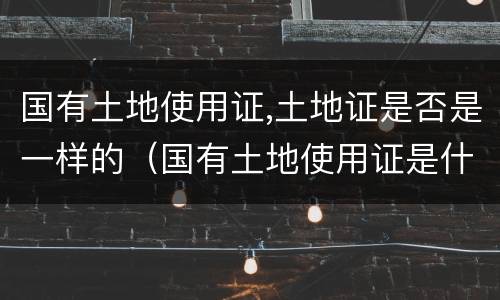 国有土地使用证,土地证是否是一样的（国有土地使用证是什么样的）