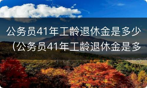 公务员41年工龄退休金是多少（公务员41年工龄退休金是多少钱）