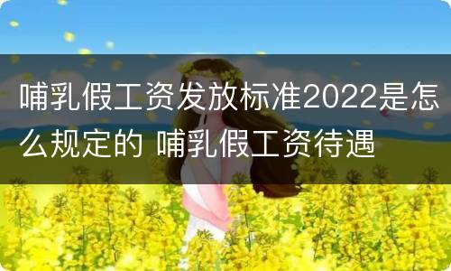 哺乳假工资发放标准2022是怎么规定的 哺乳假工资待遇