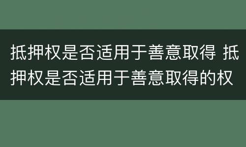 抵押权是否适用于善意取得 抵押权是否适用于善意取得的权利