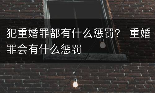 犯重婚罪都有什么惩罚？ 重婚罪会有什么惩罚