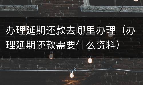 办理延期还款去哪里办理（办理延期还款需要什么资料）