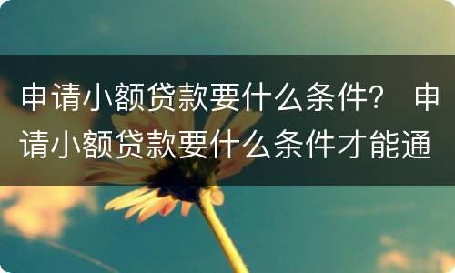 申请小额贷款要什么条件？ 申请小额贷款要什么条件才能通过