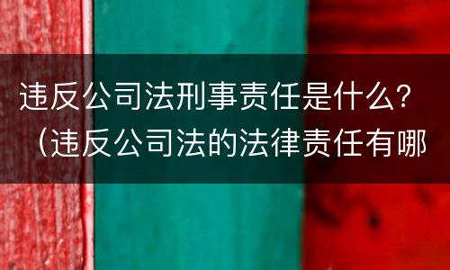 违反公司法刑事责任是什么？（违反公司法的法律责任有哪些）