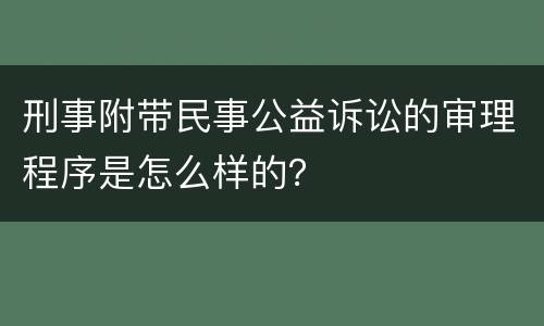 刑事附带民事公益诉讼的审理程序是怎么样的？