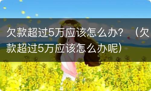 欠款超过5万应该怎么办？（欠款超过5万应该怎么办呢）