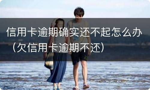 信用卡逾期确实还不起怎么办（欠信用卡逾期不还）