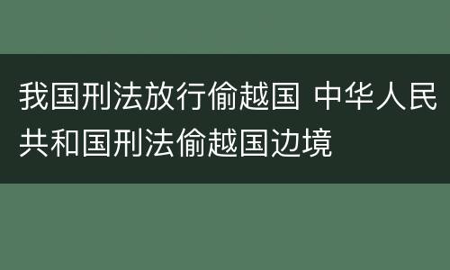 我国刑法放行偷越国 中华人民共和国刑法偷越国边境