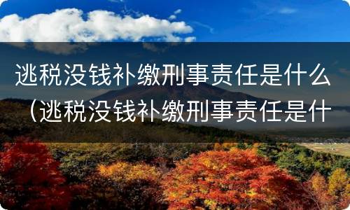 逃税没钱补缴刑事责任是什么（逃税没钱补缴刑事责任是什么情况）