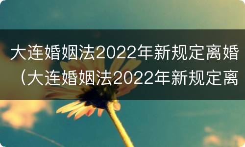 大连婚姻法2022年新规定离婚（大连婚姻法2022年新规定离婚时间）