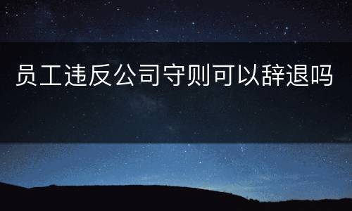 员工违反公司守则可以辞退吗