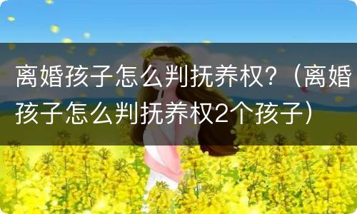 离婚孩子怎么判抚养权?（离婚孩子怎么判抚养权2个孩子）