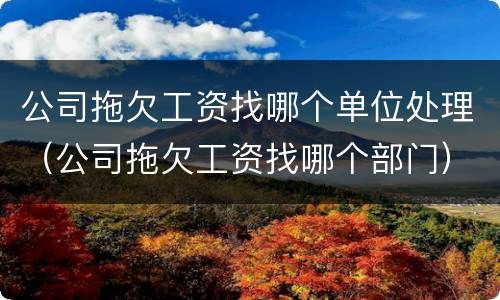 公司拖欠工资找哪个单位处理（公司拖欠工资找哪个部门）