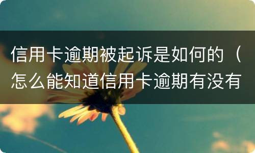 信用卡逾期被起诉是如何的（怎么能知道信用卡逾期有没有被起诉）